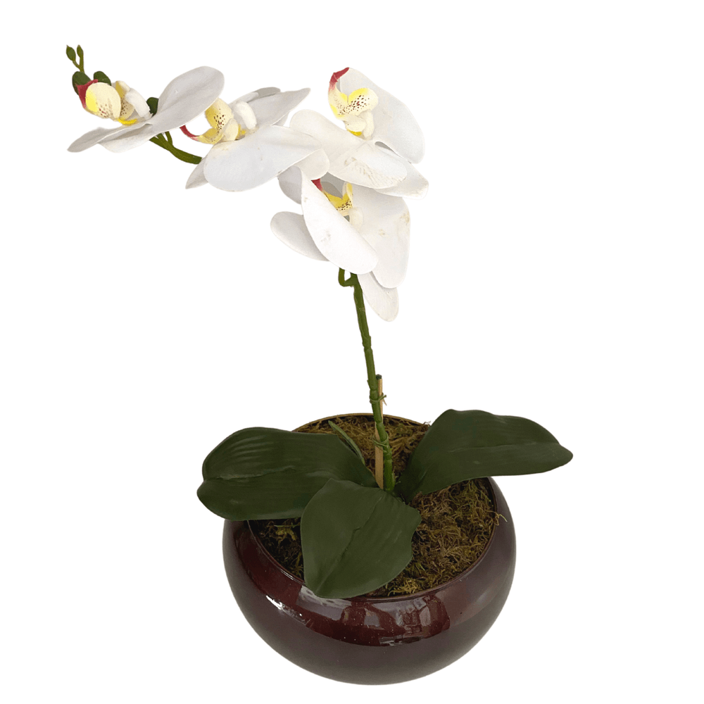 Arranjo Decorativo Orquídea Branca - Triakasa